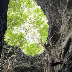 exploracion de cuevas